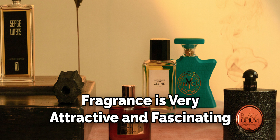 Top Branded Perfumes for Women 